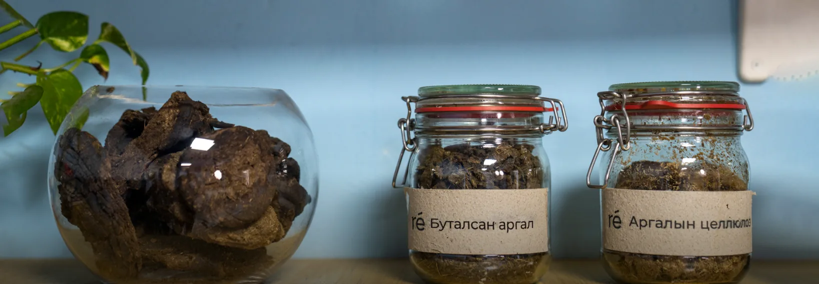 Dried argal in a glass bowl next to jars of crushed argal and argal cellulose